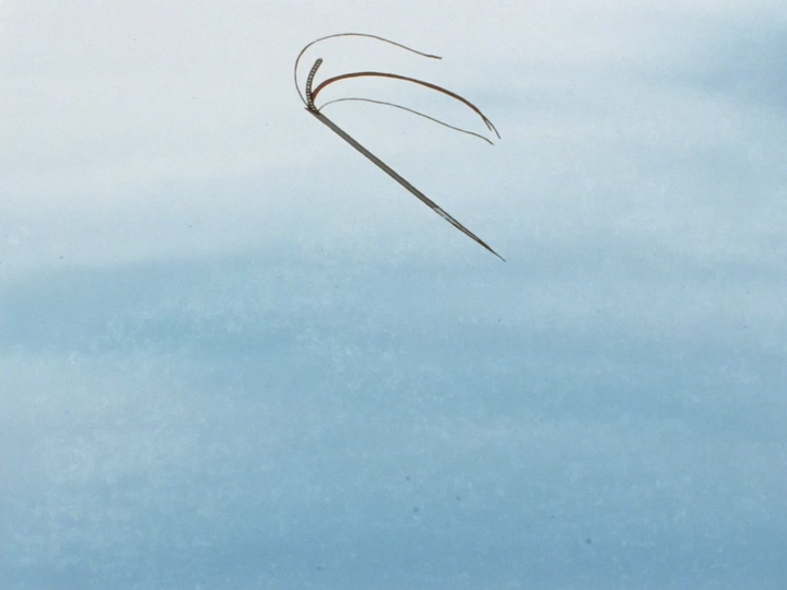 [우리는 챔피언] 영광의 시상대, 승리의 미니사구 (21주년 기념)_239.jpg