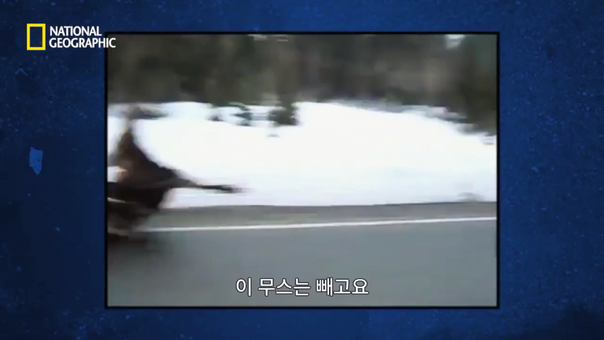 각본가의 애드리브.jpg_4.png