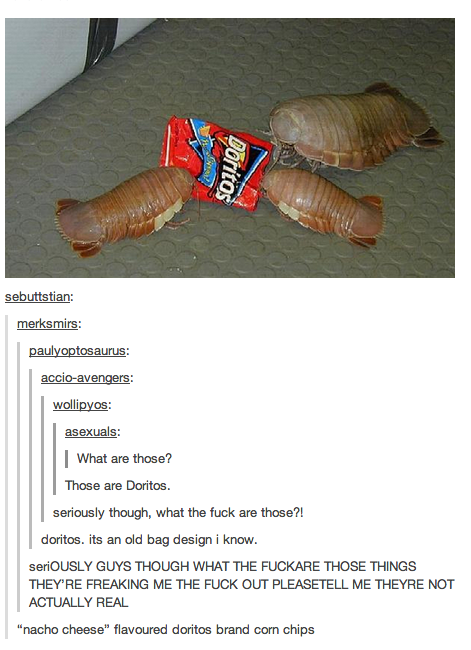 으악 저 시1발 생명체는 대체 시1발 뭐야_1.png