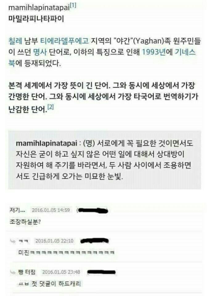 세계에서 가장 뜻이 긴 단어_1.jpg