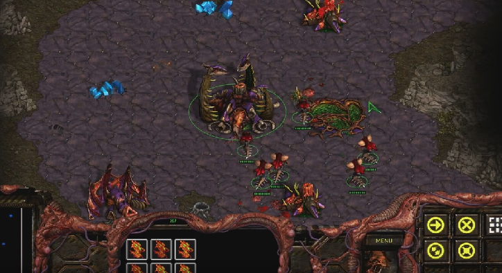 저그의 숨겨진 구세주_2.png