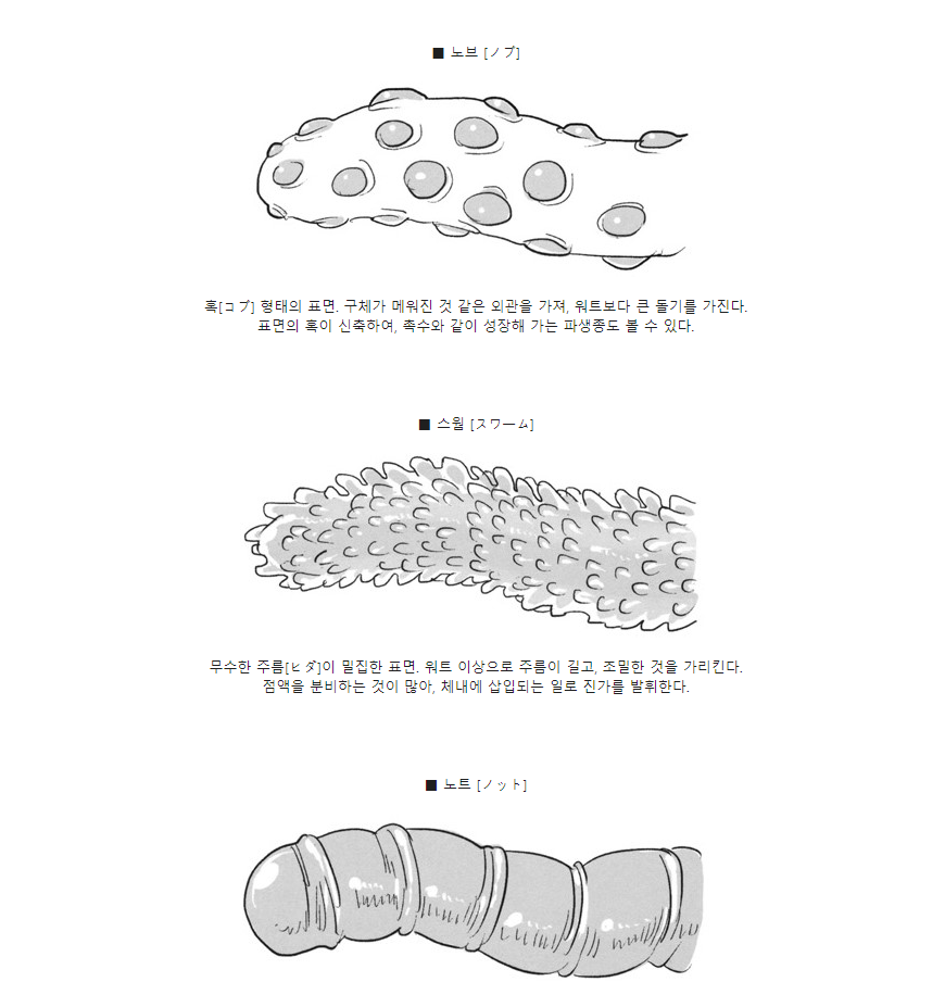 후방) 촉수의 종류들에 대해서 알아보자.araboja_11.png