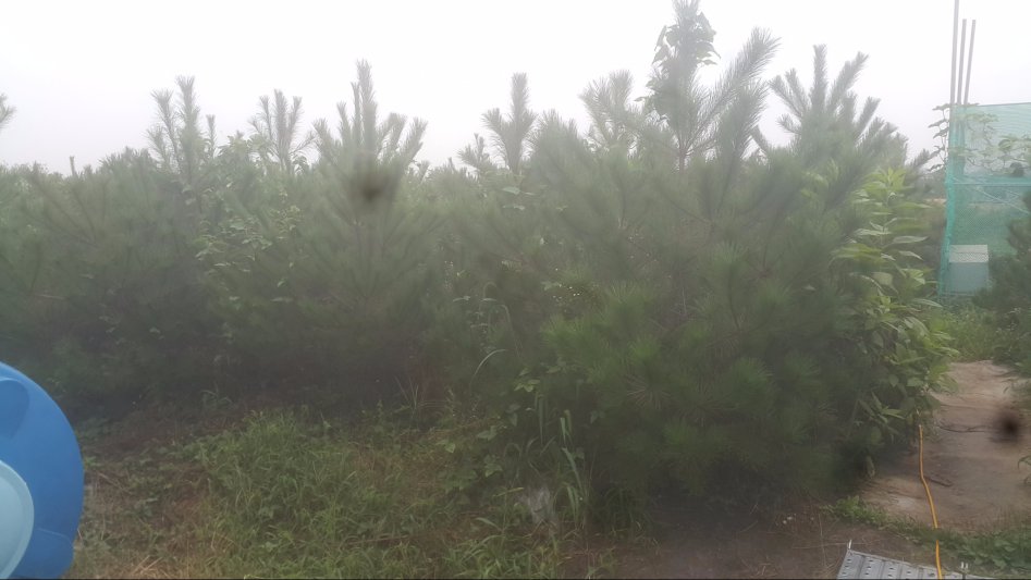 우리집 동물 및 농사생활입니다 (스압)_6.jpg