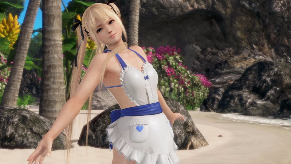 DEAD OR ALIVE Xtreme 3 Fortune__3.jpeg