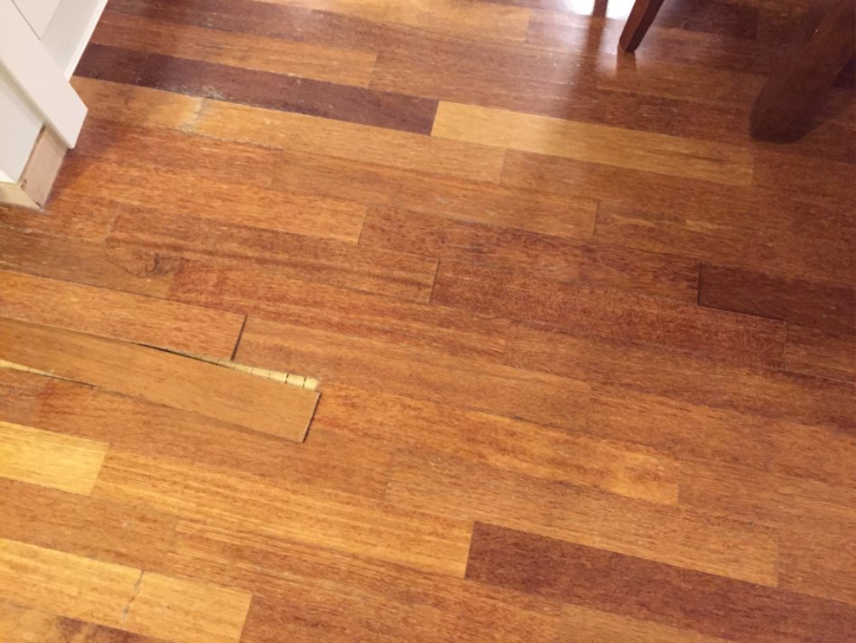 안녕하세요?? 마루 나무가 갈라졌는데 목공풀로 붙이면 될까요?_1.jpg