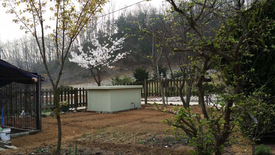 아버지의 꿈(스압)_41.jpg