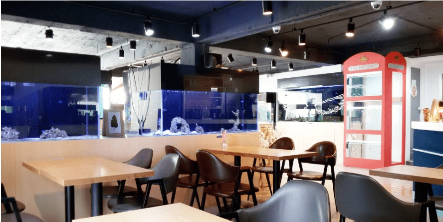 홍대의 이색카페 평판을 떨어뜨리는 암덩어리들 . jpg_1.png