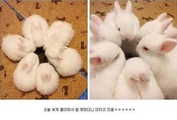 거사를 앞둔 비밀조직원들.JPG_1.jpeg