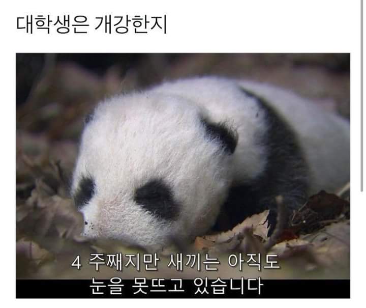 대학생은 개강한지.jpg_1.jpg