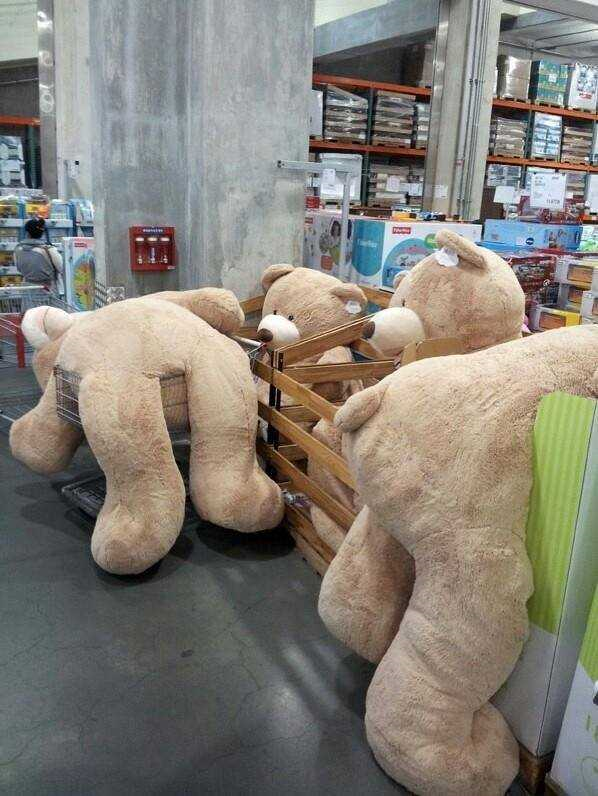 코스트코 곰인형_3.png