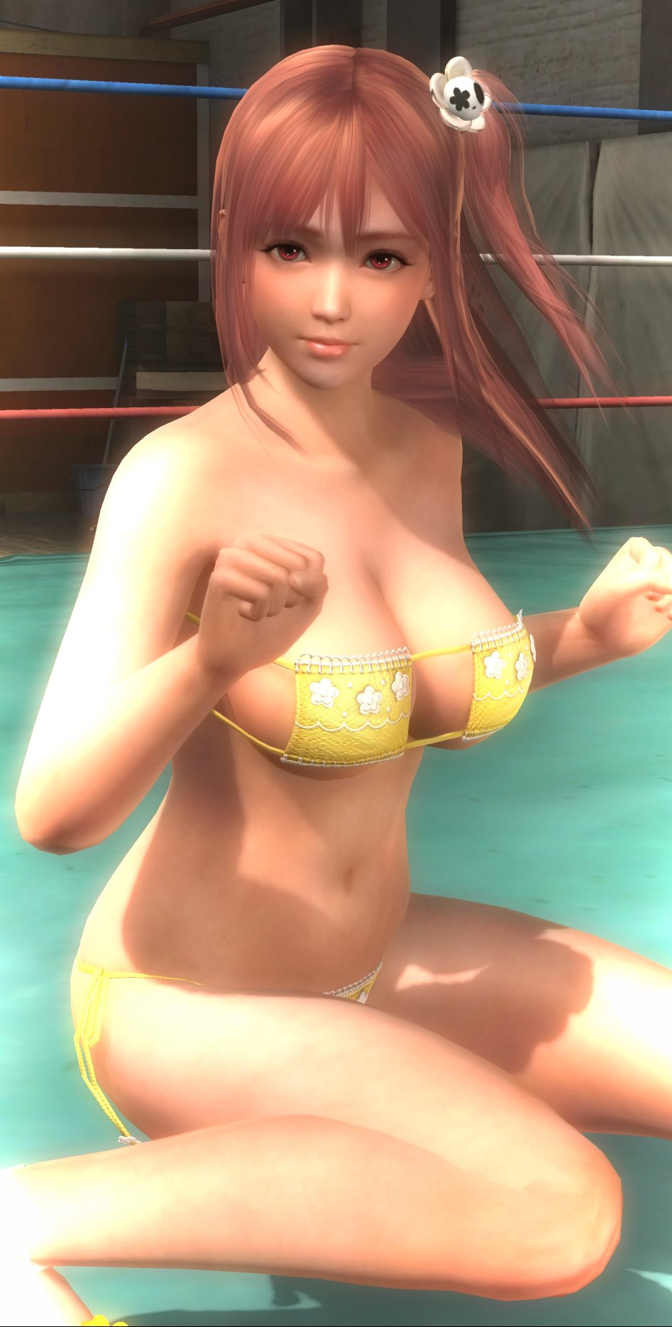 DEAD OR ALIVE 5 Last Round_20150305013314_stitch.jpg