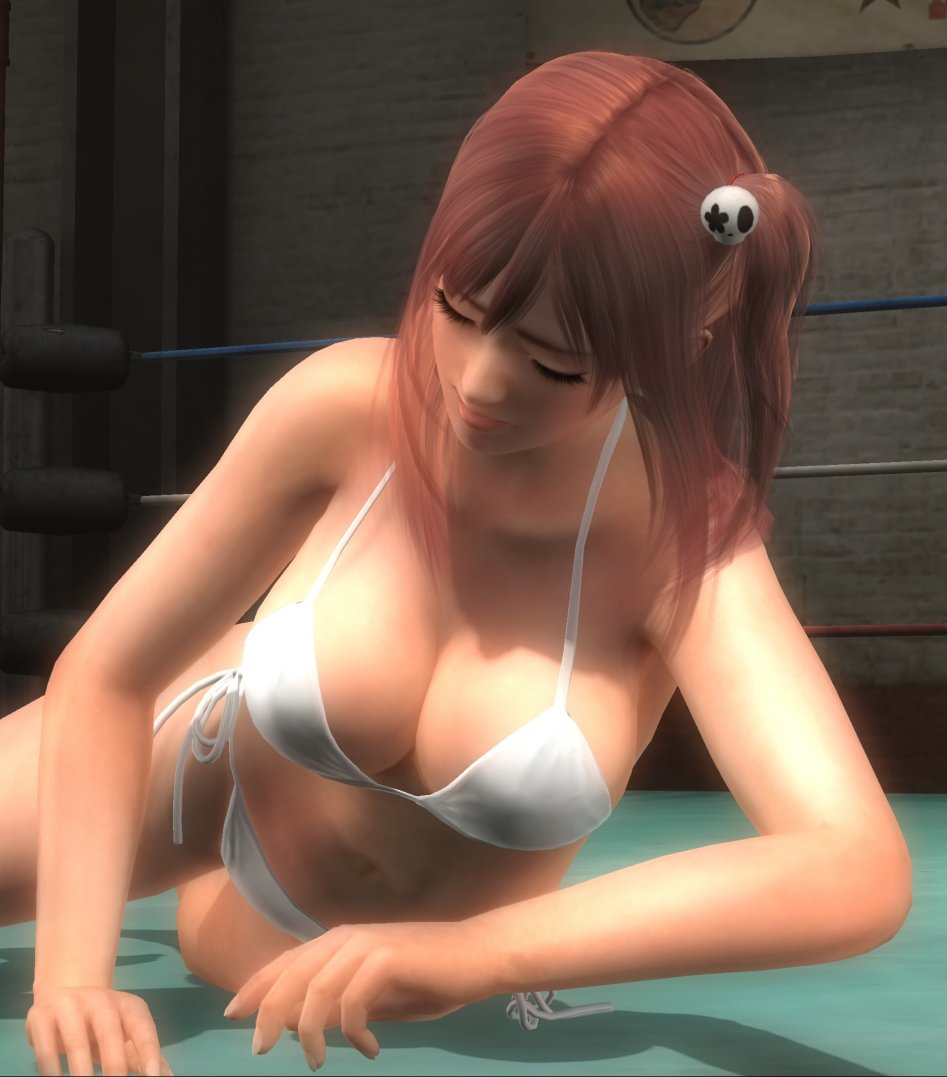 DEAD OR ALIVE 5 Last Round_20150307174045_stitch.jpg