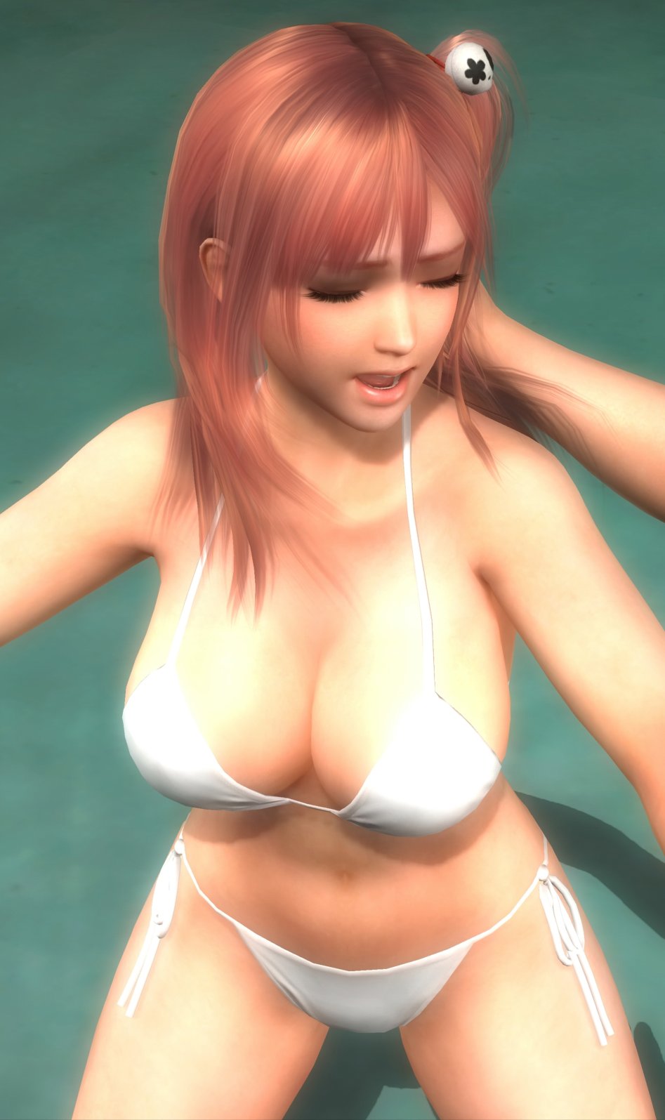 DEAD OR ALIVE 5 Last Round_20150307191114_stitch.jpg