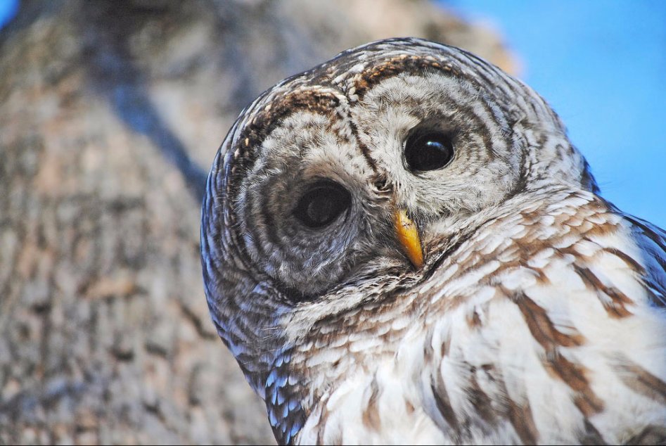 아직도 넌씨눈 뜻 모르는 뚜앗노움있뚜앗?_1.jpg