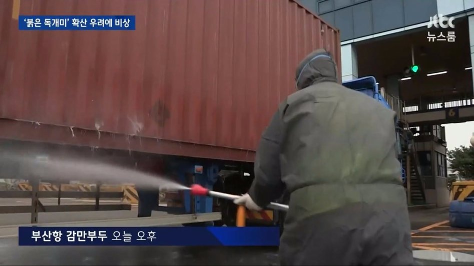 부산 독개미의 위험성._2.jpg