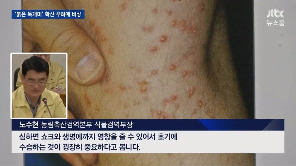 부산 독개미의 위험성._7.jpg