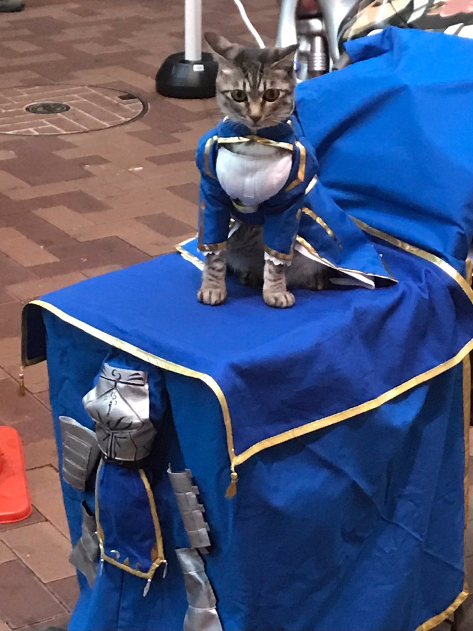 잘못 소환된 서번트.jpg_1.jpg