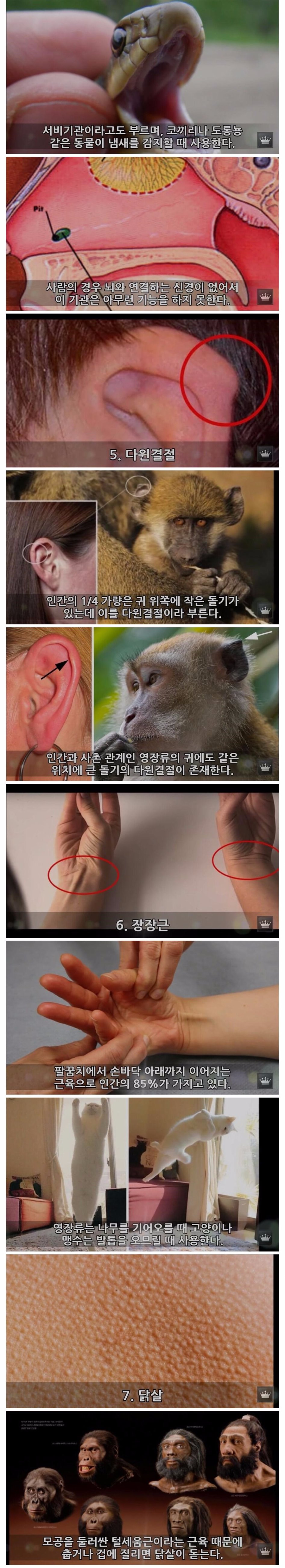 인류의 몸에 남은 10가지 진화의 흔적들002.jpg