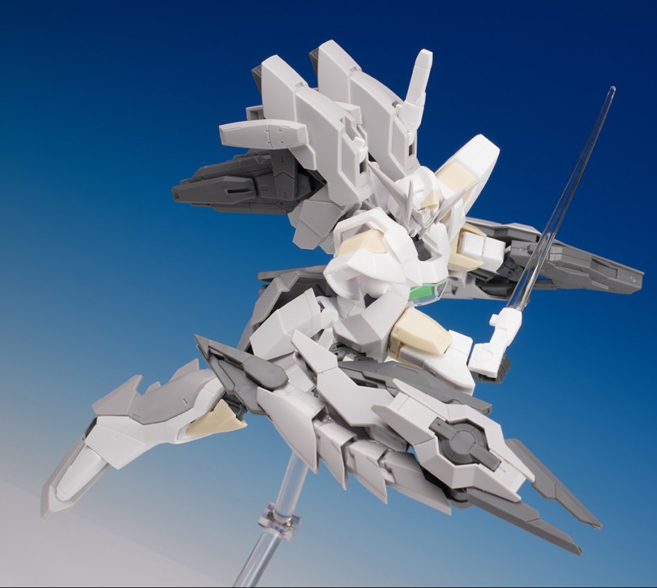 hgbf_reversible037.jpg