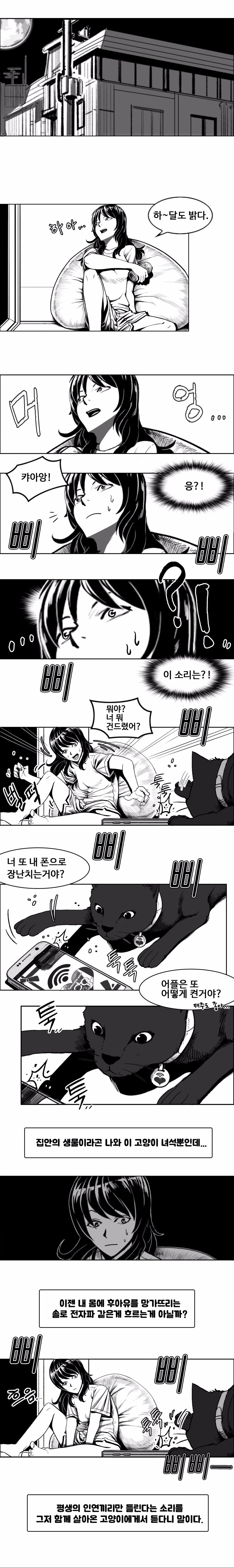 포맷변환_010.jpg