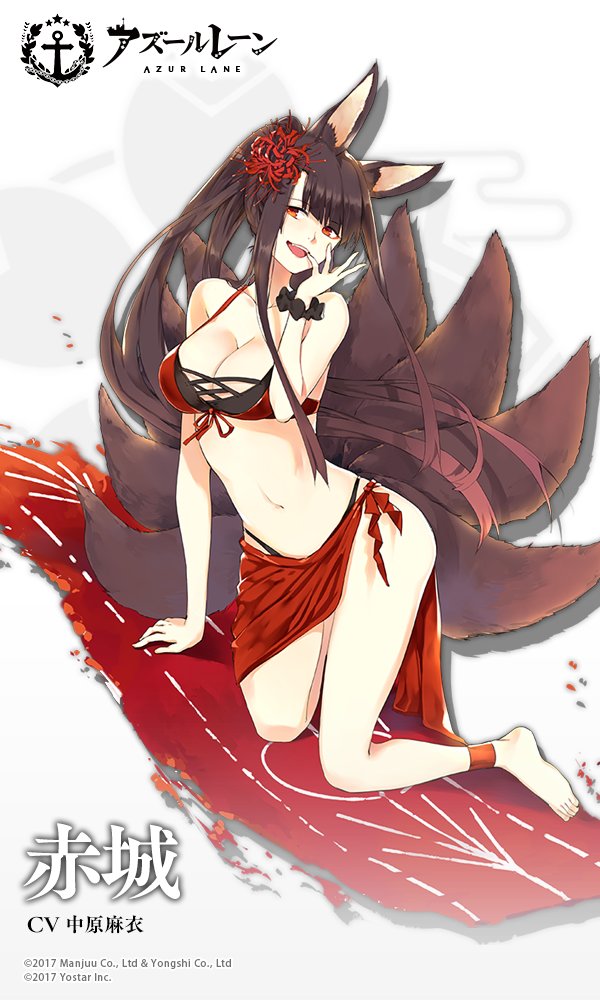 akagi-n.jpg