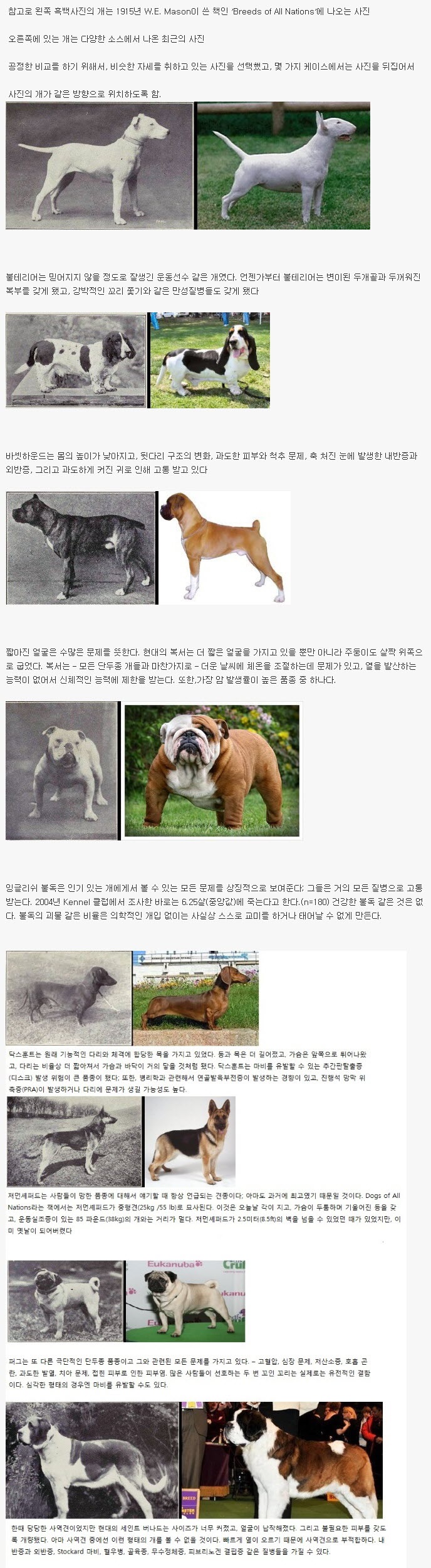 100년간의 품종 개량이 낳은 끔찍한 결과1.jpg