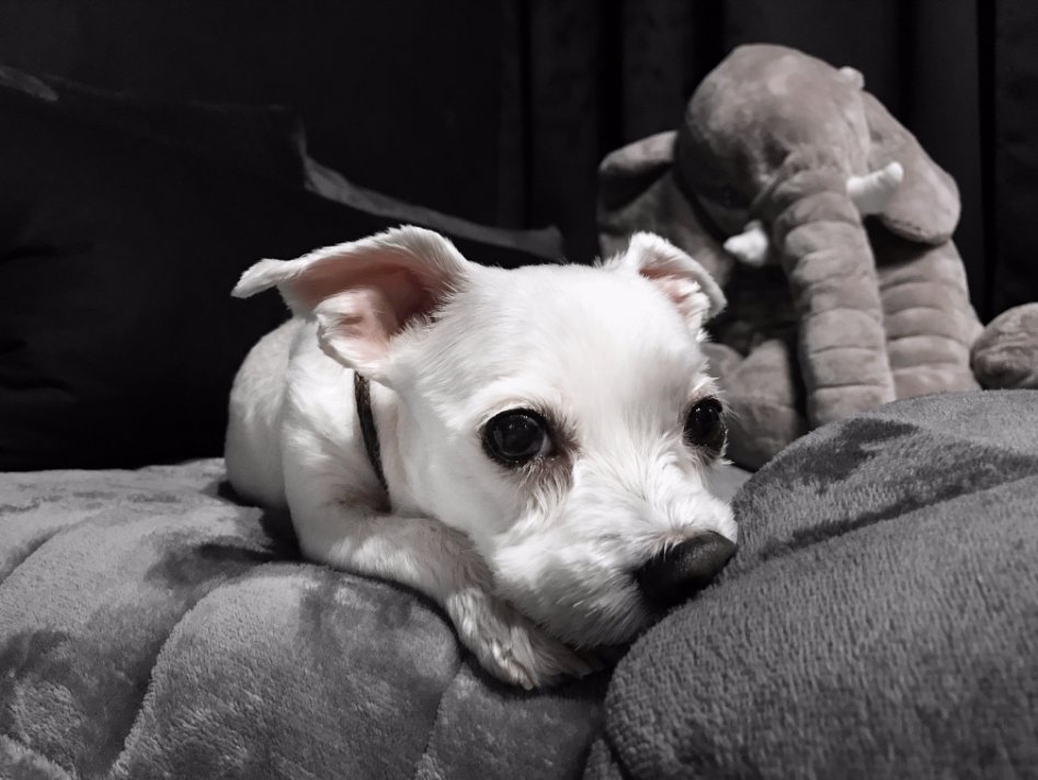 블랙 덕후가 꾸민 암흑의 방_9.jpg