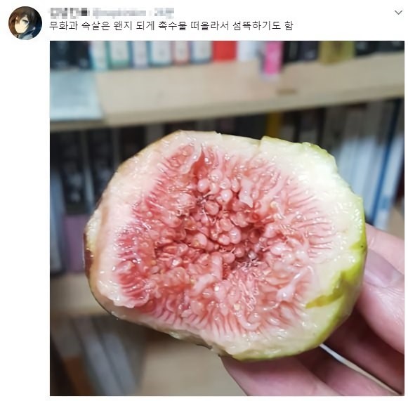 무화과 속살은 촉수물이 떠오른다_1.jpg