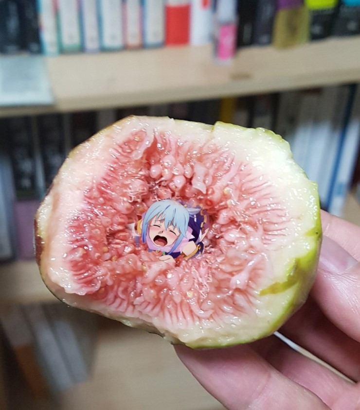 무화과 속살은 촉수물이 떠오른다_2.jpg