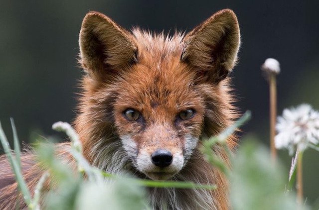 내셔널 지오그래픽 올해의 사진 후보._6.jpg