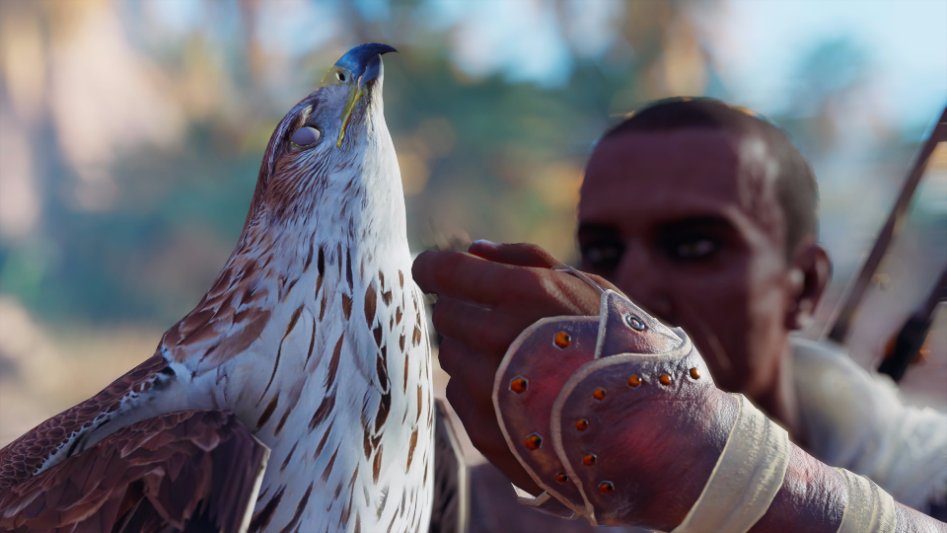 Assassin's Creed® Origins__22.jpeg