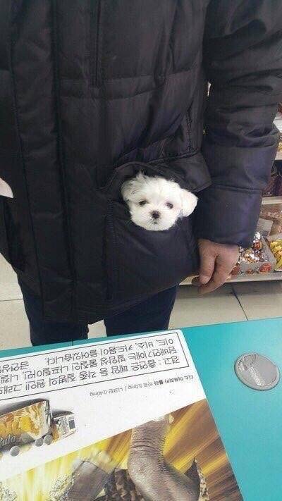 편의점 알바 중 심쿵.jpg_1.jpg