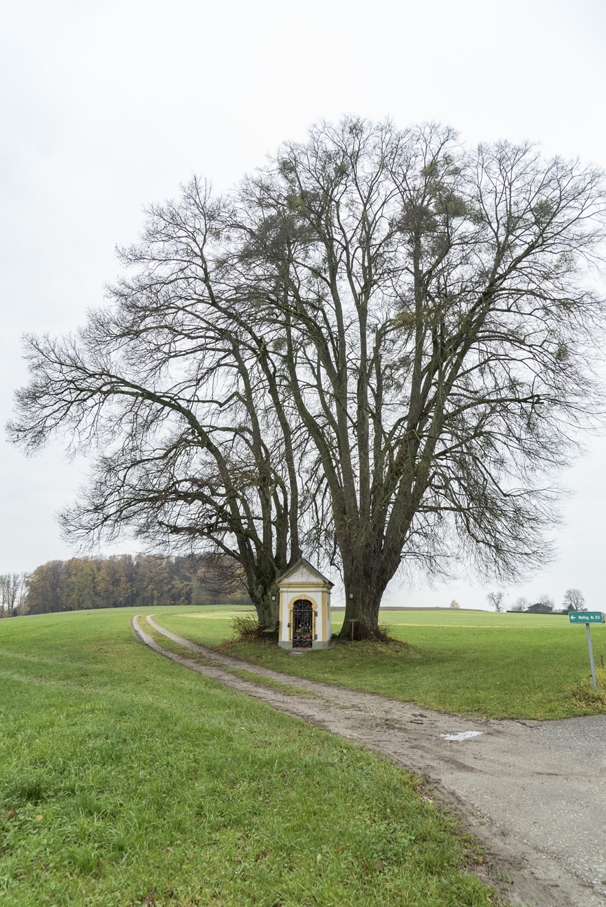 신혼여행으로 찾아간 오스트리아 Fucking 마을_21.jpg