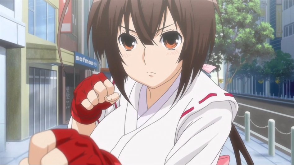 [JacobSwaggedUp] Sekirei 01 (BD 1280x720).mp4_001127.886.jpg