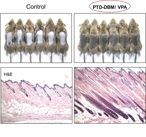 최근 한국 기술 수준_1.jpg