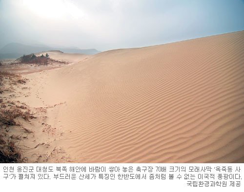 의외의 한국 풍경1.jpg