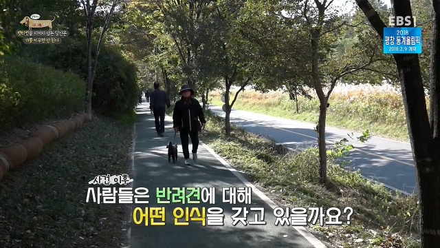 최시원이 국내 애견계에 일궈낸 업적_14.jpg