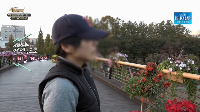 최시원이 국내 애견계에 일궈낸 업적_17.jpg