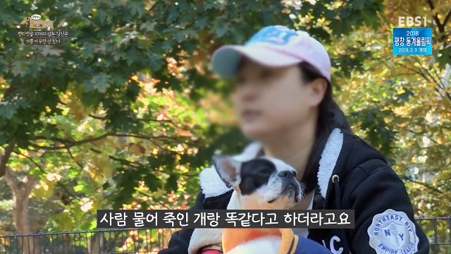 최시원이 국내 애견계에 일궈낸 업적_22.jpg