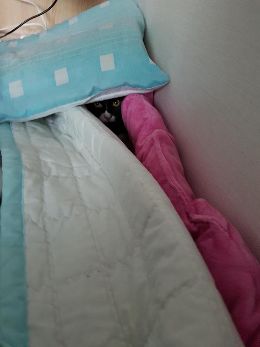 20대 후반 꿈을 이룬 나만의 공간_8.jpg