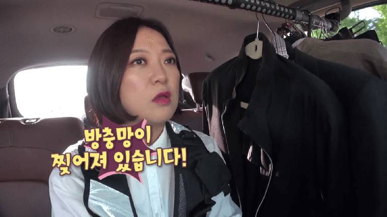 역사는 돌고 돈다.jpg_1.png