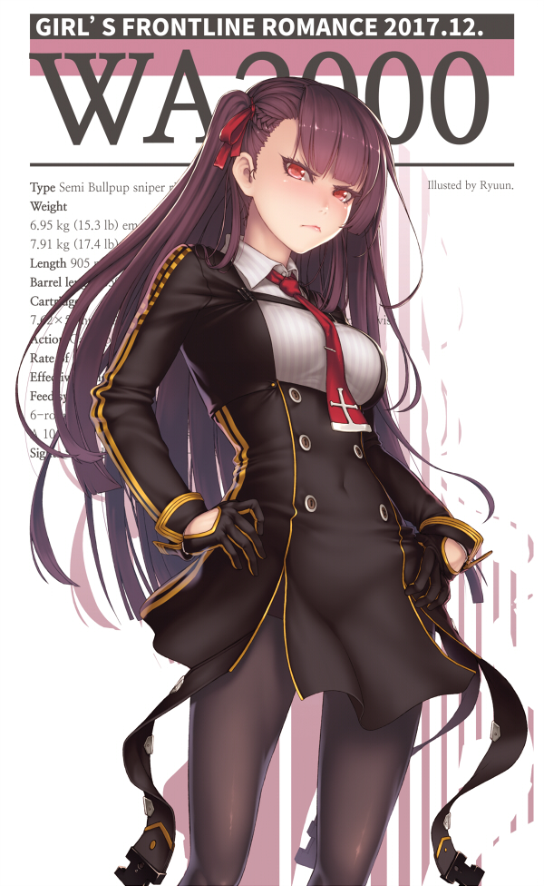 WA2000(LastSample)_02.jpg