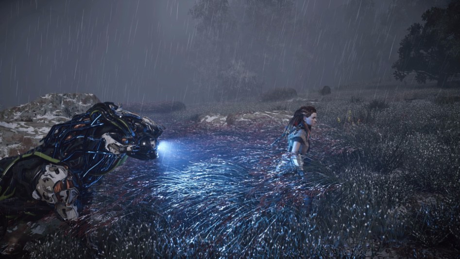 Horizon Zero Dawn™_20171105150533.jpg