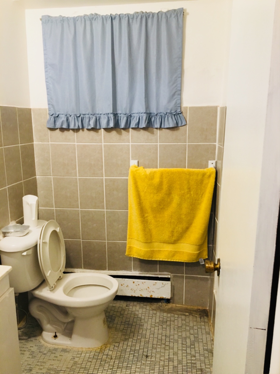 몬트리올에 온 지 벌써 1년_14.jpeg