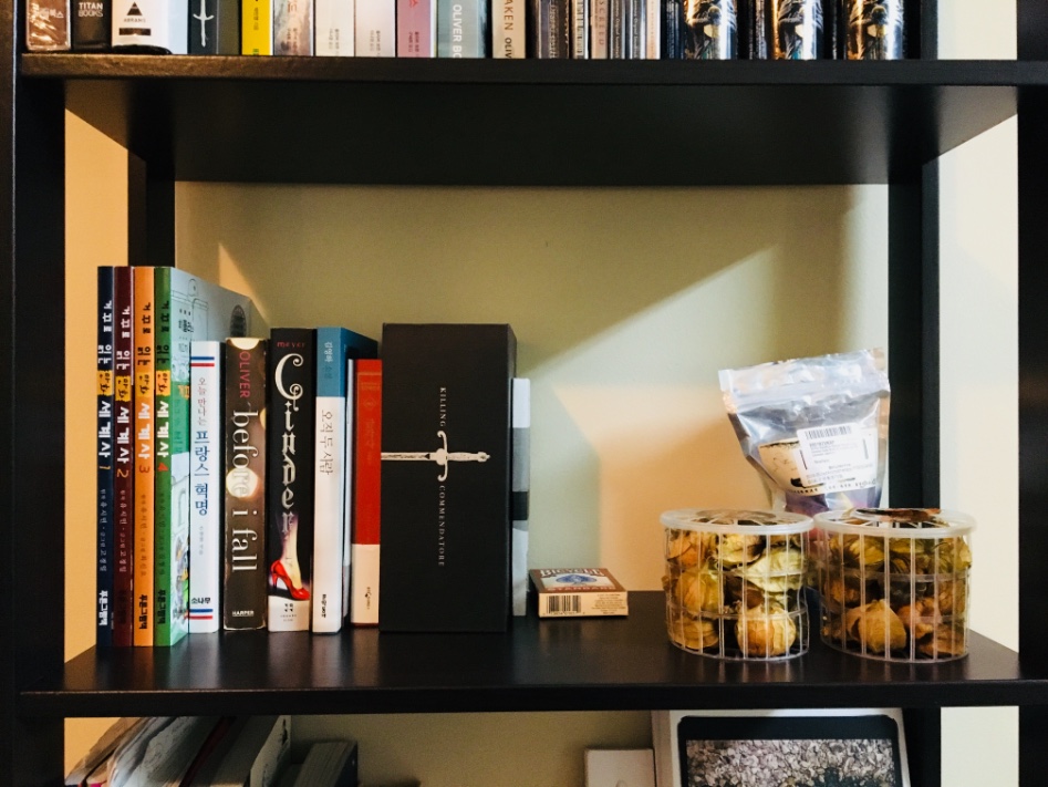 몬트리올에 온 지 벌써 1년_33.jpeg