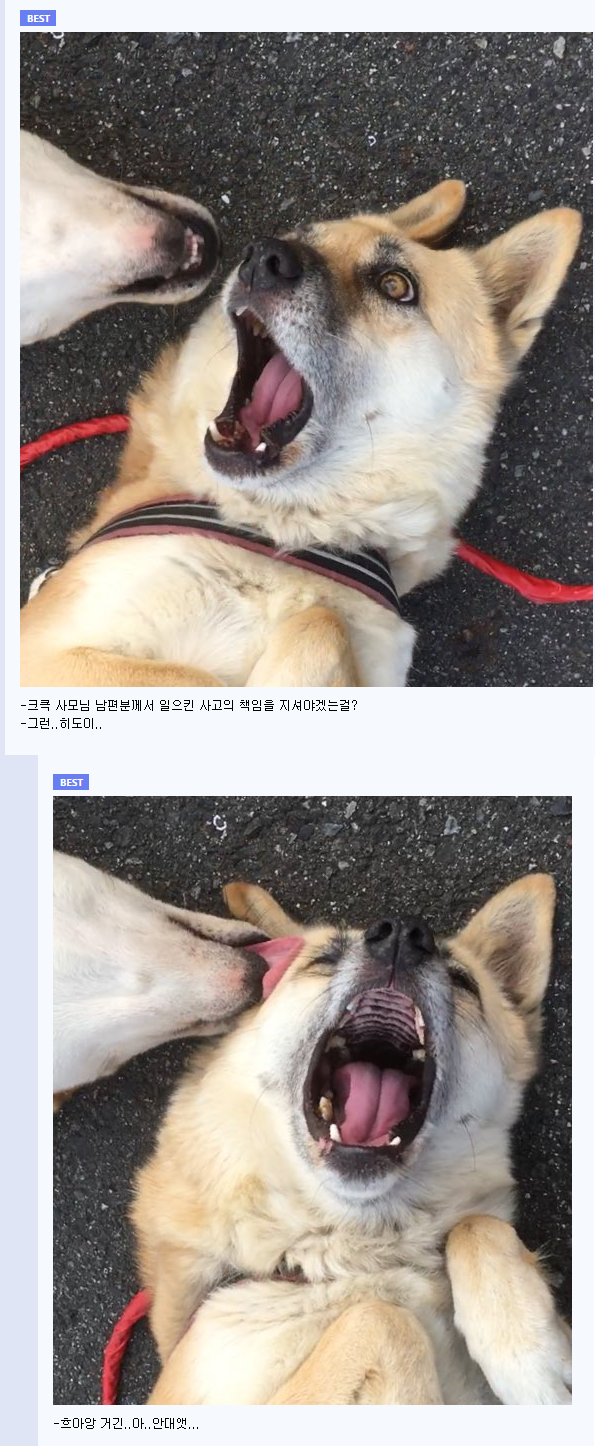 흔한 유게 평균.jpg_2.png