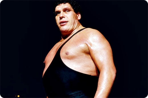 [WWF] Andre the Giant (Andre Renae Rousimoff).jpg