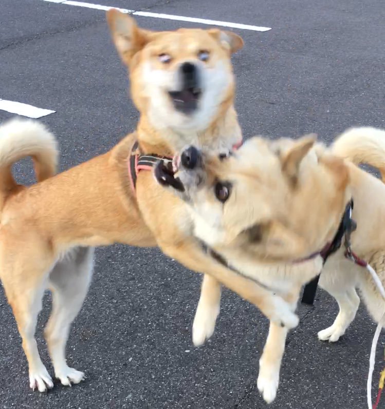 삼국지 인물사전 - 방덕편_1.jpg