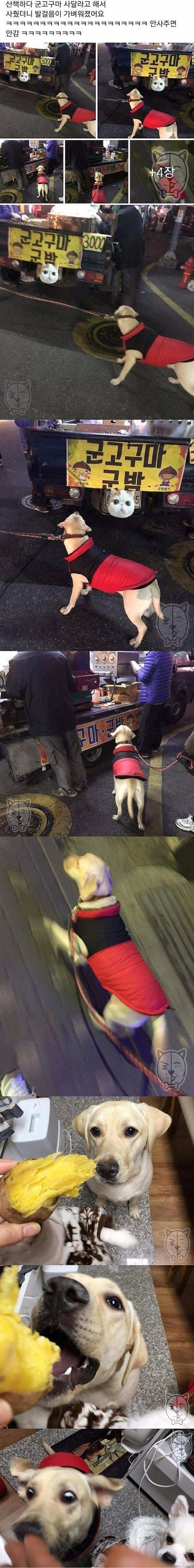 군고구마의 위력_1.jpg