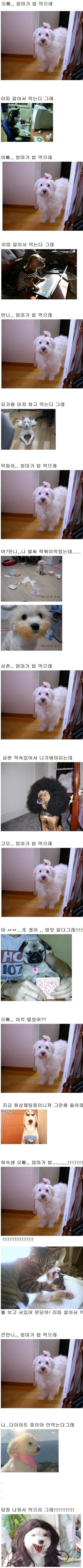 고전) 오빠, 엄마가 밥 먹으래_1.jpg